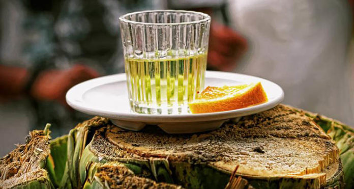 mezcal