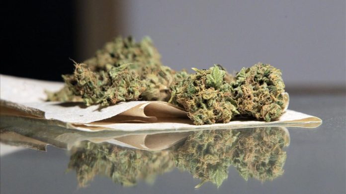Uruguay comienza a vender marihuana de uso recreativo en las farmacias