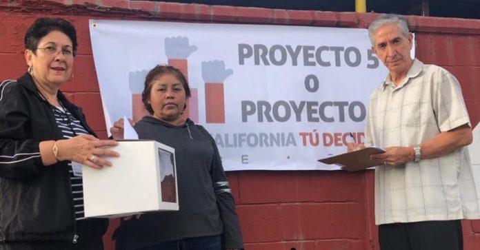 resultado consulta