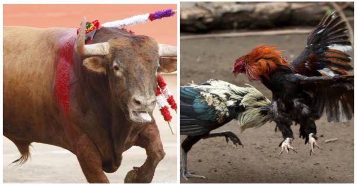 Corridas de Toros