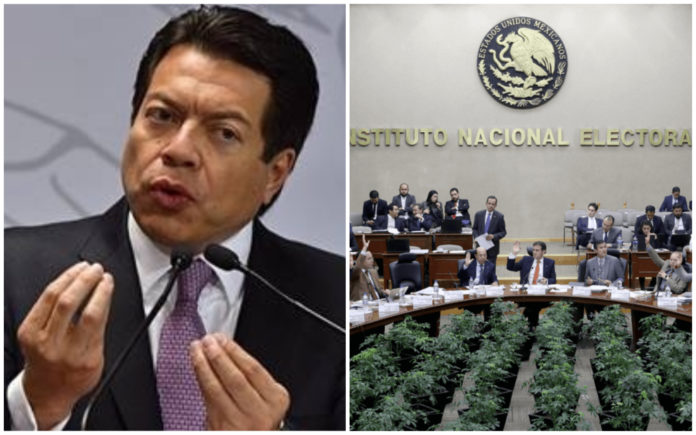Delgado asegura que recorte a INE es por austeridad