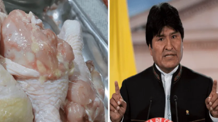 Evo morales acusa que pollo está modificado genéticamente