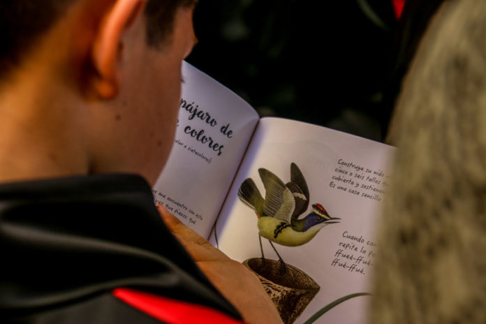 Lectura