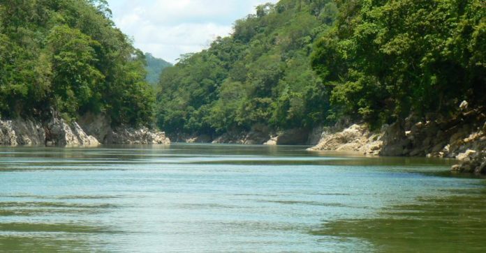 Usumacinta Usumacinta