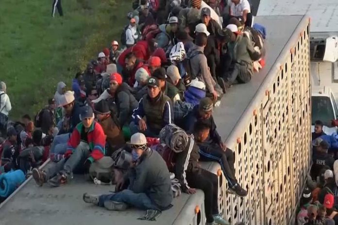 Migrantes