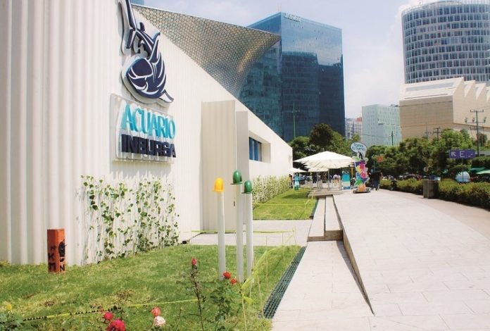 Acuario Inbursa obliga a “descansar” a sus empleados sin goce de sueldo por COVID-19