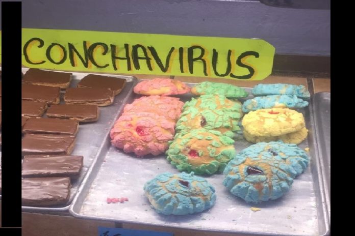 conchavirus