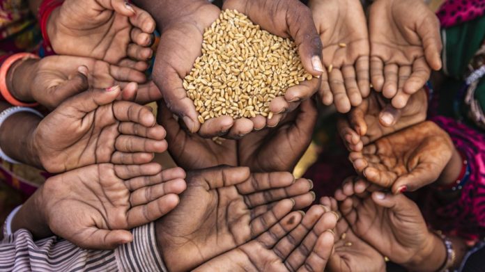Crisis alimentaria