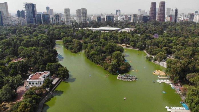 Reabrir Bosques en la CDMX