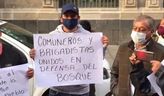 Brigadistas