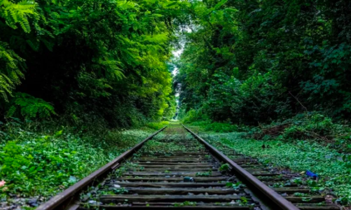 Tramo Mérida-Cancún-Chetumal del Tren Maya será eléctrico, adelantó Fonatur