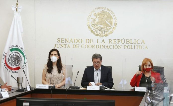 Senadores se reúnen con Rosario Piedra, presidenta de la CNDH