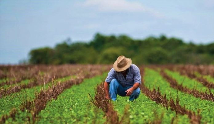 Oposición lamenta que 4T quiera desaparecer 17 programas para el campo