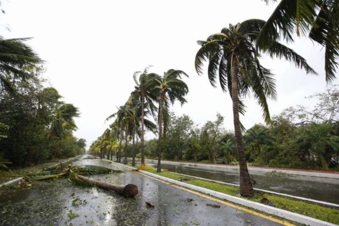 ‘Delta’ deja sin luz tres ciudades de Quintana Roo