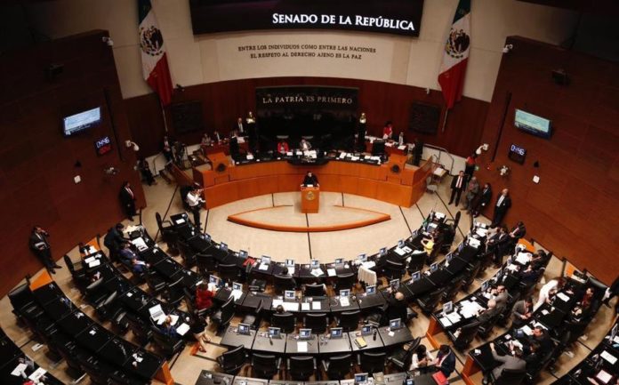 Senado avala en lo particular uso lúdico del cannabis Senado avala en lo particular uso lúdico del cannabis