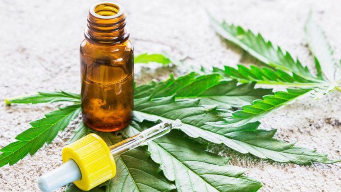Presentan reglamento para uso medicinal del cánnabis Presentan reglamento para uso medicinal del cánnabis
