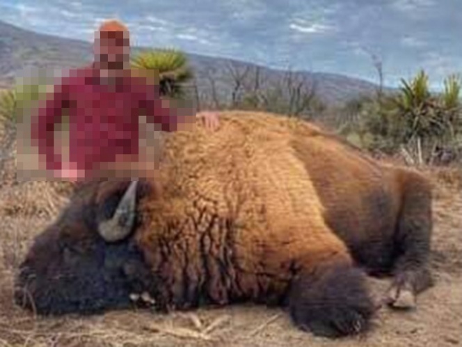 caza de bisontes Coahuila