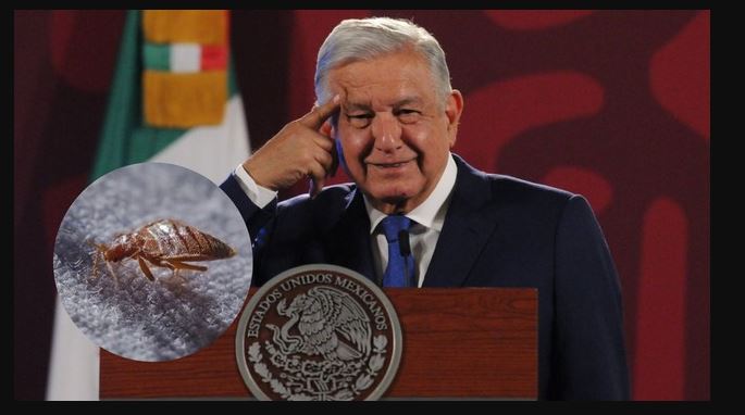 Reportan plaga de chinches en Palacio Nacional, afectó a reporteros de la mañanera Reportan plaga de chinches en Palacio Nacional, afectó a reporteros de la mañanera