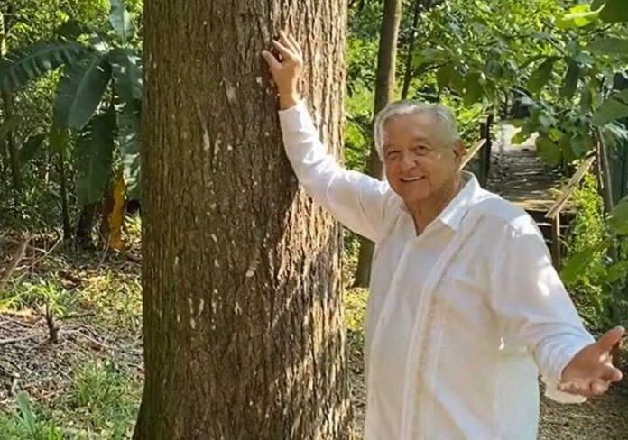 Manifestaciones en defensa del INE opacan cumpleaños de AMLO Manifestaciones en defensa del INE opacan cumpleaños de AMLO